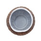 kalebassa_coconut-2.jpg